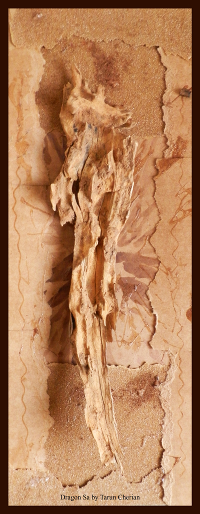 Animal Spirit Guide by Spiritual Artist Tarun Cherian 